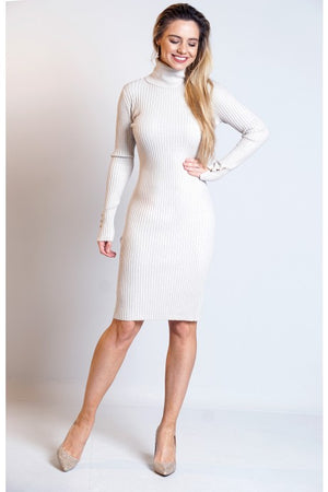 Sharon Ribbed Turtle Neck Knitted Bodycon Dress