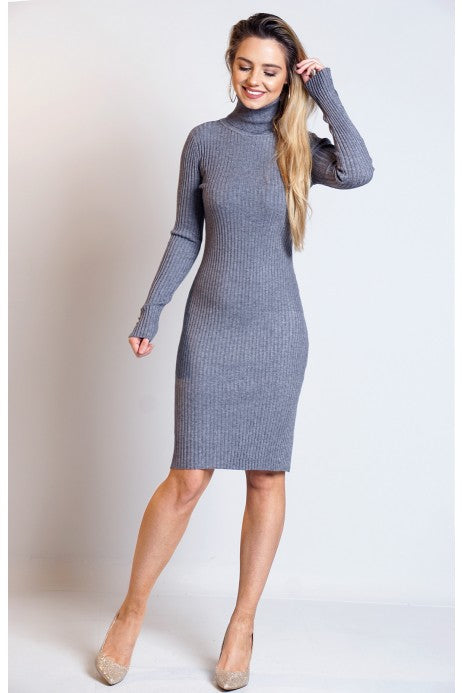 Sharon Ribbed Turtle Neck Knitted Bodycon Dress